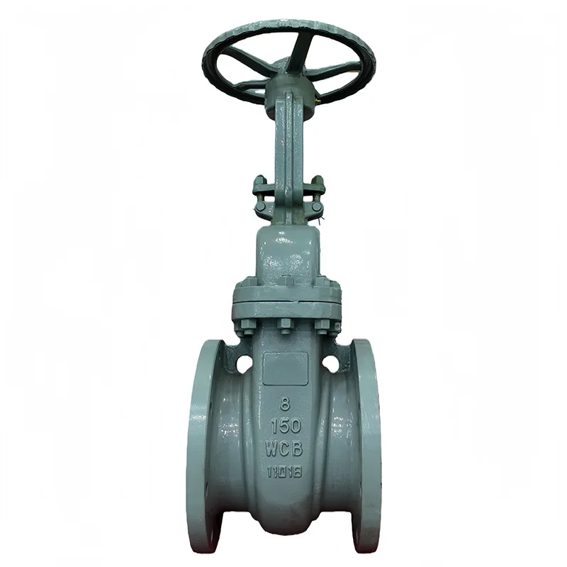 கார்பன் ஸ்டீல் ANSI Flange Gate Valve