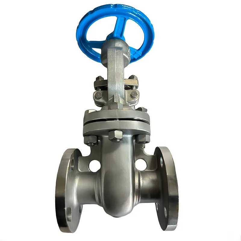 துருப்பிடிக்காத ஸ்டீல் API Flanged Gate Valve